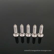 Stainless steel wooden screw torx tapping screw